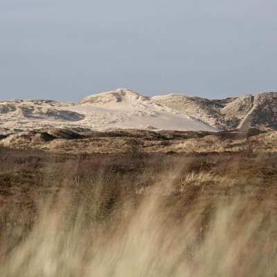 Sylt in February
